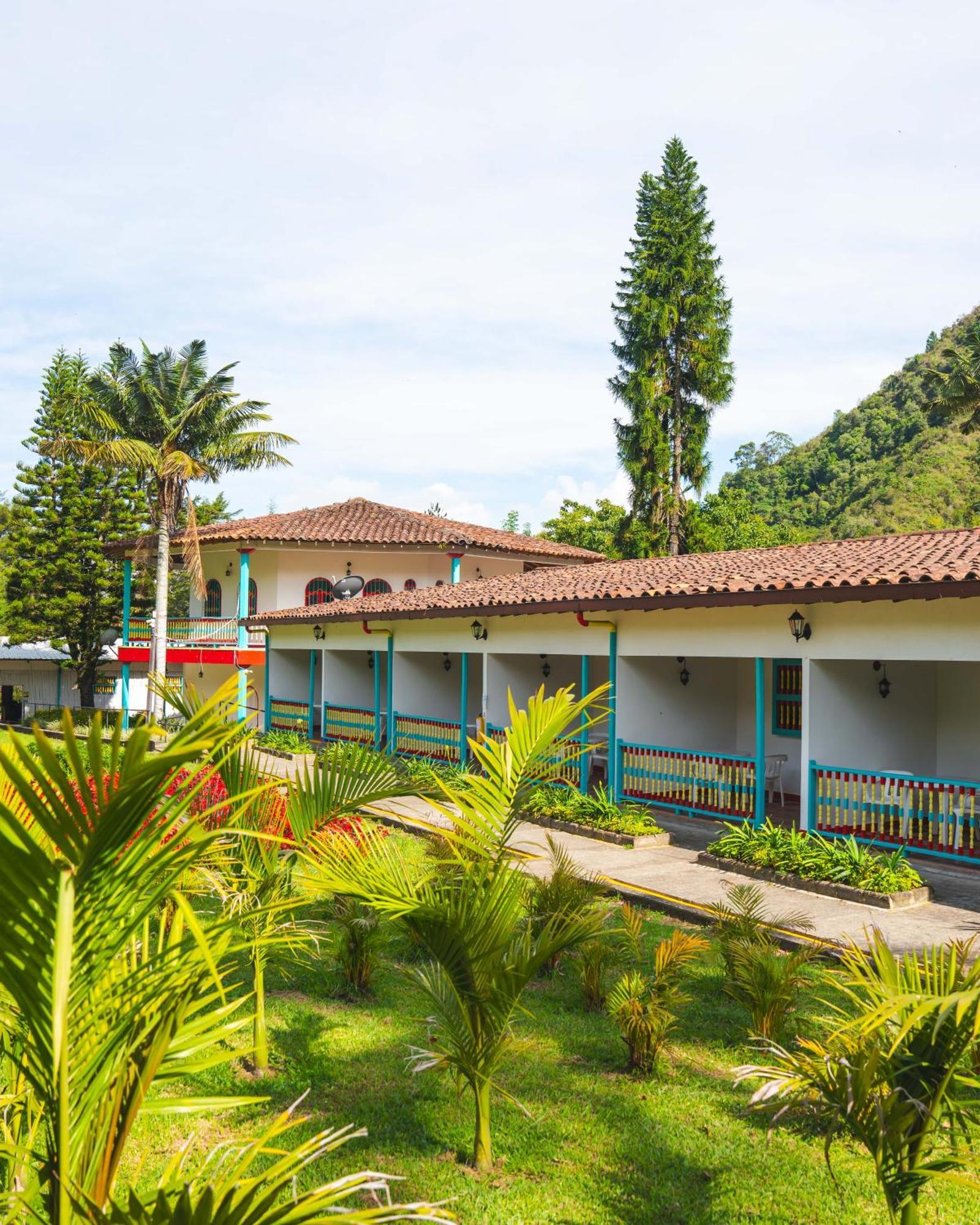 Dreamer Cocora Salento Exteriér fotografie